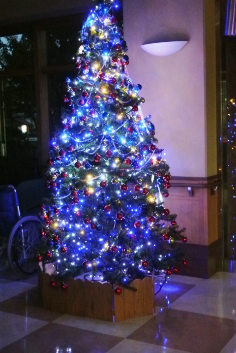 巨大クリスマスツリーに点灯！